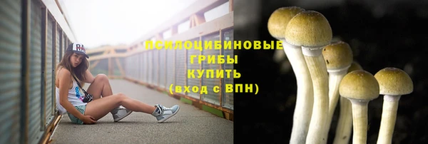mix Каменногорск
