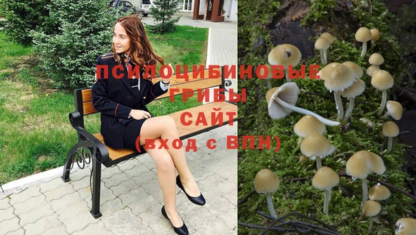 соль курить ск Каменка