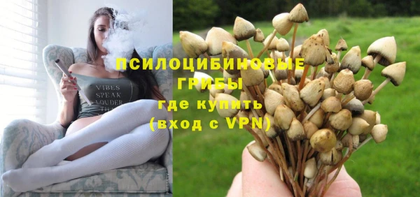 эйфоретик Покачи