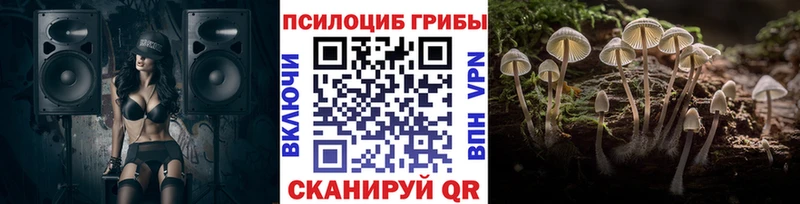 Псилоцибиновые грибы прущие грибы  Кемь 